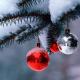 Несколько советов как сохранить живую новогоднюю елку дома подольше